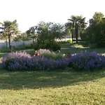 Apartament Tamara